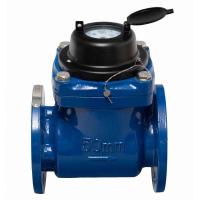 Водосчетчик Росконтроль СВХ-50И (с импульсным выходом, для холодной воды, фланцевый) 