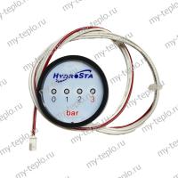 Манометр для котла Daewoo DGB-400 MSC (manomDGB400MSC)